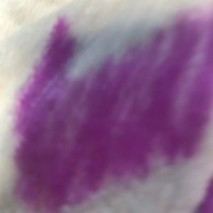 Meet your Posher, Tamia